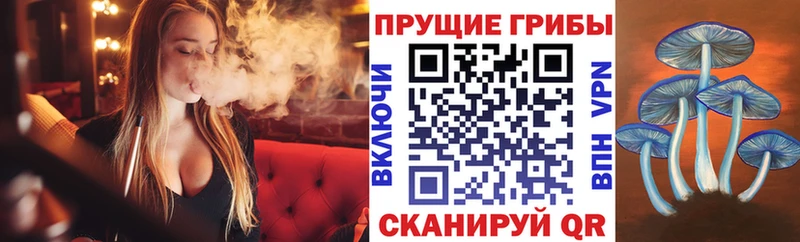 Галлюциногенные грибы Psilocybine cubensis  ссылка на мегу ссылка  Облучье 